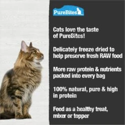 PureBites Tuna Freeze-Dried Raw Cat Treats 13 PureBites Tuna Freeze-Dried Raw Cat Treats -Blue Buffalo Shop 150509 PT4. AC SS1800 V1677604588