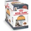 Royal Canin Feline Care Nutrition Hair & Skin Care Chunks In Gravy Pouch Cat Food, 3-oz, Case Of 12 2 Royal Canin Feline Care Nutrition Hair & Skin Care Chunks In Gravy Pouch Cat Food, 3-oz, Case Of 12 -Blue Buffalo Shop 151283 MAIN. AC SS1800 V1697754021