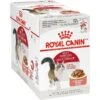 Royal Canin Feline Health Nutrition Adult Instinctive Chunks In Gravy Cat Food Pouch 1 Royal Canin Feline Health Nutrition Adult Instinctive Chunks In Gravy Cat Food Pouch -Blue Buffalo Shop 151285 MAIN. AC SS1800 V1697761693
