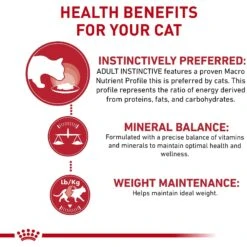 Royal Canin Feline Health Nutrition Adult Instinctive Chunks In Gravy Cat Food Pouch 12 Royal Canin Feline Health Nutrition Adult Instinctive Chunks In Gravy Cat Food Pouch -Blue Buffalo Shop 151285 PT3. AC SS1800 V1697759798