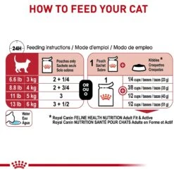 Royal Canin Feline Health Nutrition Adult Instinctive Chunks In Gravy Cat Food Pouch 14 Royal Canin Feline Health Nutrition Adult Instinctive Chunks In Gravy Cat Food Pouch -Blue Buffalo Shop 151285 PT5. AC SS1800 V1697757373
