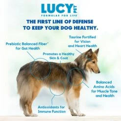 Lucy Pet Products Formulas For Life Grain-Free Duck, Pumpkin & Quinoa Formula Dry Dog Food -Blue Buffalo Shop 151349 PT5. AC SS1800 V1581698319