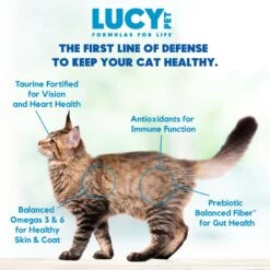 Lucy Pet Products Formulas For Life Salmon, Pumpkin & Quinoa Formula Grain-Free Dry Cat Food -Blue Buffalo Shop 151358 PT5. AC SS1800 V1581698342