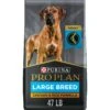 Purina Pro Plan Adult Large Breed Chicken & Rice Formula Dry Dog Food -Blue Buffalo Shop 151474 MAIN. AC SS1800 V1657655675