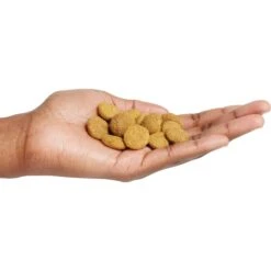 Purina Pro Plan Adult Large Breed Chicken & Rice Formula Dry Dog Food -Blue Buffalo Shop 151474 PT4. AC SS1800 V1657910575