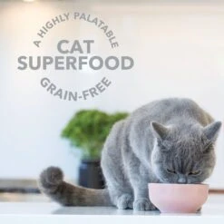 Feline Natural Booster Lamb Green Tripe Freeze-Dried Cat Food Topper -Blue Buffalo Shop 151676 PT2. AC SS1800 V1693235984