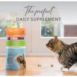 Feline Natural Booster Lamb Green Tripe Freeze-Dried Cat Food Topper -Blue Buffalo Shop 151676 PT3. AC SS1800 V1693235892