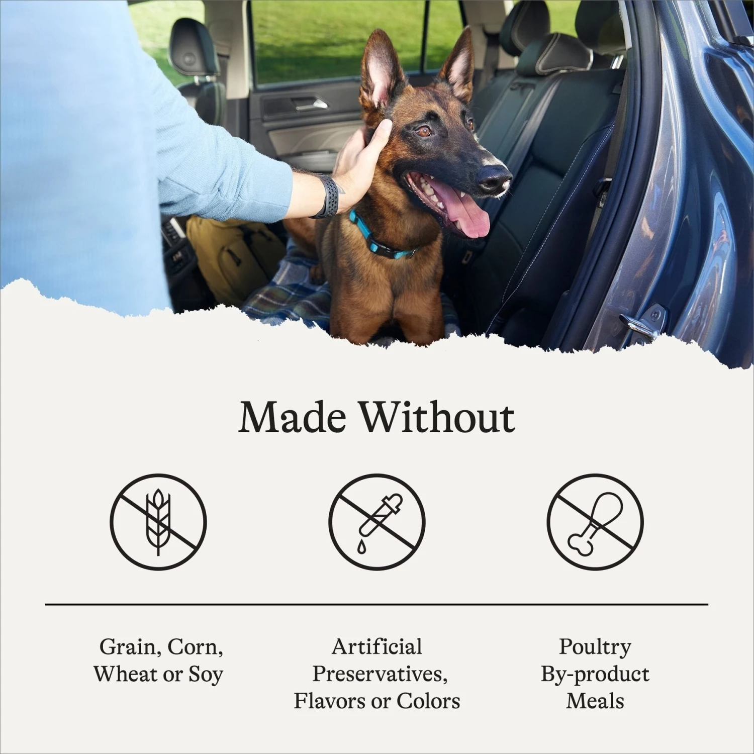 American Journey Senior Chicken & Sweet Potato Recipe Grain-Free Dry Dog Food 9 American Journey Senior Chicken & Sweet Potato Recipe Grain-Free Dry Dog Food - Image 7