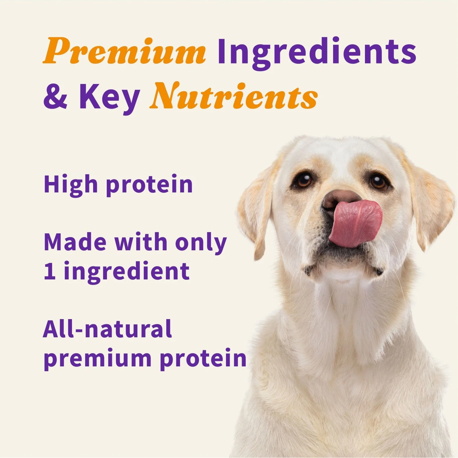 Halo 100% Chicken Breast Freeze-Dried Dog Treats 7 Halo 100% Chicken Breast Freeze-Dried Dog Treats - Image 5