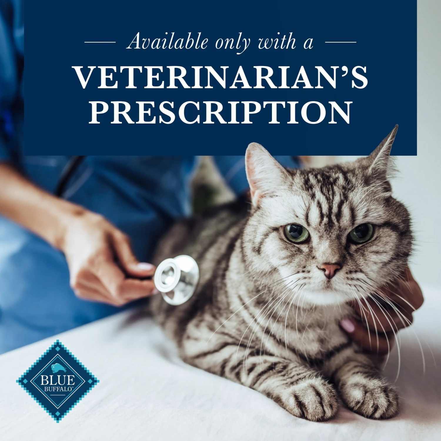 Blue Buffalo Natural Veterinary Diet HF Hydrolyzed For Food Intolerance Grain-Free Wet Cat Food 9 Blue Buffalo Natural Veterinary Diet HF Hydrolyzed For Food Intolerance Grain-Free Wet Cat Food - Image 7