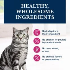 Blue Buffalo Natural Veterinary Diet NP Novel Protein Alligator Grain-Free Dry Cat Food -Blue Buffalo Shop 152866 PT5. AC SS1800 V1703091328