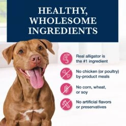 Blue Buffalo Natural Veterinary Diet NP Novel Protein Alligator Grain-Free Dry Dog Food 16 Blue Buffalo Natural Veterinary Diet NP Novel Protein Alligator Grain-Free Dry Dog Food -Blue Buffalo Shop 152869 PT5. AC SS1800 V1695494782