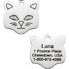 Frisco Stainless Steel Personalized Cat ID Tag, Cat -Blue Buffalo Shop 153043 MAIN. AC SS1800 V1540560124