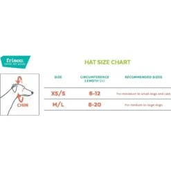 Frisco Happy Birthday Dog & Cat Crown -Blue Buffalo Shop 153665 PT1. AC SS1800 V1551134610