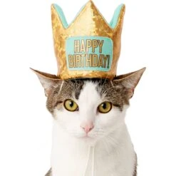Frisco Happy Birthday Dog & Cat Crown -Blue Buffalo Shop 153665 PT2. AC SS1800 V1551230979