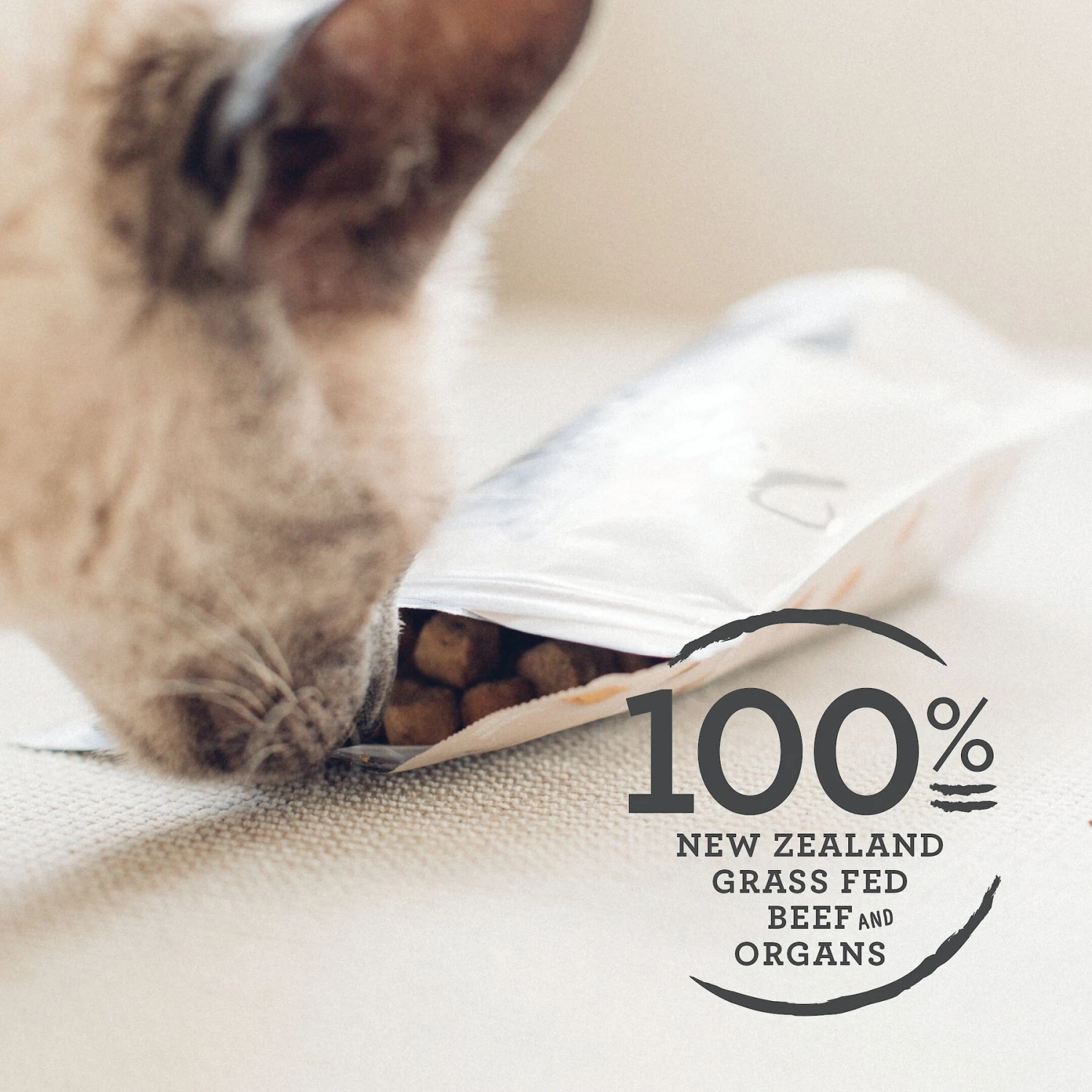 Meat Mates Beef Freeze-Dried Raw Cat Treats 5 Meat Mates Beef Freeze-Dried Raw Cat Treats - Image 3