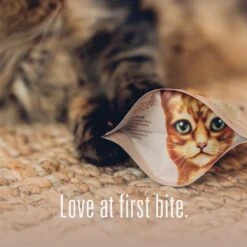 Meat Mates Beef Freeze-Dried Raw Cat Treats 18 Meat Mates Beef Freeze-Dried Raw Cat Treats -Blue Buffalo Shop 153829 PT7. AC SS1800 V1594925468