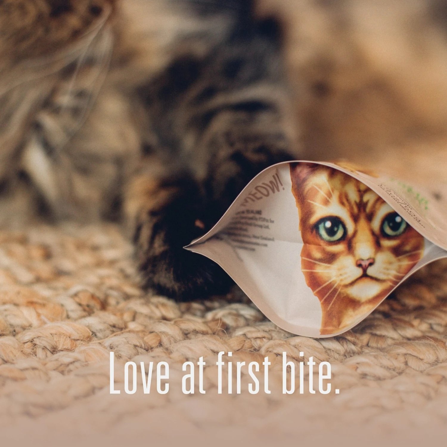 Meat Mates Beef Freeze-Dried Raw Cat Treats 10 Meat Mates Beef Freeze-Dried Raw Cat Treats - Image 8