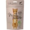 Meat Mates Lamb Freeze-Dried Raw Cat Treats 1 Meat Mates Lamb Freeze-Dried Raw Cat Treats -Blue Buffalo Shop 153831 MAIN. AC SS1800 V1594906867