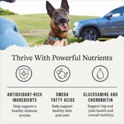 American Journey Protein & Grains Senior Chicken, Brown Rice & Vegetables Recipe Dry Dog Food -Blue Buffalo Shop 153933 PT4. AC SS1800 V1668736315