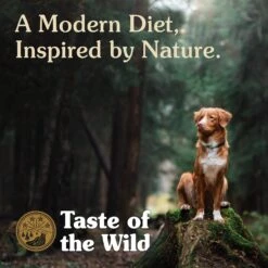 Taste Of The Wild High Prairie Puppy Formula Grain-Free Dry Dog Food 14 Taste Of The Wild High Prairie Puppy Formula Grain-Free Dry Dog Food -Blue Buffalo Shop 154555 PT5. AC SS1800 V1641256001