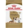Royal Canin Breed Health Nutrition Chihuahua Adult 8+ Dry Dog Food -Blue Buffalo Shop 154776 MAIN. AC SS1800 V1695156230