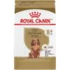 Royal Canin Breed Health Nutrition Dachshund Adult 8+ Dry Dog Food -Blue Buffalo Shop 154778 MAIN. AC SS1800 V1695156230