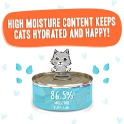 BFF OMG Crazy 4 U! Chicken & Salmon Dinner In Gravy Grain-Free Canned Cat Food 14 BFF OMG Crazy 4 U! Chicken & Salmon Dinner In Gravy Grain-Free Canned Cat Food -Blue Buffalo Shop 154843 PT3. AC SS1800 V1646847703