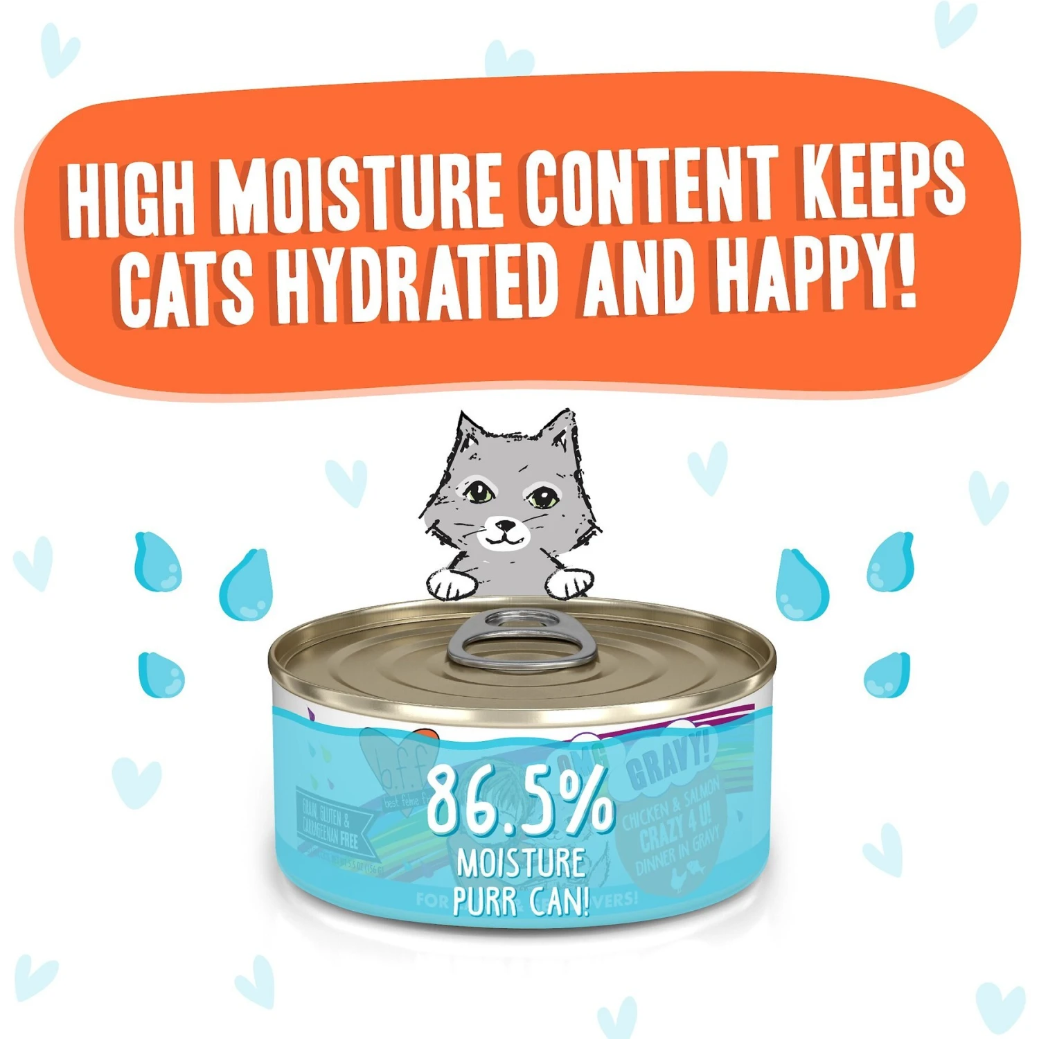 BFF OMG Crazy 4 U! Chicken & Salmon Dinner In Gravy Grain-Free Canned Cat Food 6 BFF OMG Crazy 4 U! Chicken & Salmon Dinner In Gravy Grain-Free Canned Cat Food - Image 4