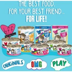 BFF OMG Crazy 4 U! Chicken & Salmon Dinner In Gravy Grain-Free Canned Cat Food 15 BFF OMG Crazy 4 U! Chicken & Salmon Dinner In Gravy Grain-Free Canned Cat Food -Blue Buffalo Shop 154843 PT4. AC SS1800 V1646854062