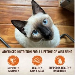 Wellness CORE Tiny Tasters Chicken & Turkey Pate Grain-Free Cat Food Pouches -Blue Buffalo Shop 155322 PT3. AC SS1800 V1695846581