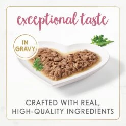 Fancy Feast Gourmet Naturals Wild Alaskan Salmon & Shrimp Recipe In Gravy Canned Cat Food 13 Fancy Feast Gourmet Naturals Wild Alaskan Salmon & Shrimp Recipe In Gravy Canned Cat Food -Blue Buffalo Shop 155541 PT2. AC SS1800 V1677102399