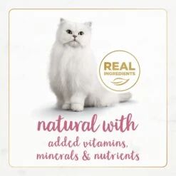 Fancy Feast Gourmet Naturals Wild Alaskan Salmon & Shrimp Recipe In Gravy Canned Cat Food 14 Fancy Feast Gourmet Naturals Wild Alaskan Salmon & Shrimp Recipe In Gravy Canned Cat Food -Blue Buffalo Shop 155541 PT3. AC SS1800 V1677103476