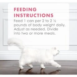 Fancy Feast Gourmet Naturals Wild Alaskan Salmon & Shrimp Recipe In Gravy Canned Cat Food 19 Fancy Feast Gourmet Naturals Wild Alaskan Salmon & Shrimp Recipe In Gravy Canned Cat Food -Blue Buffalo Shop 155541 PT8. AC SS1800 V1543333922
