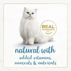 Fancy Feast Gourmet Naturals Trout & Tuna Recipe Pate Canned Cat Food, 3-oz, Case Of 12 14 Fancy Feast Gourmet Naturals Trout & Tuna Recipe Pate Canned Cat Food, 3-oz, Case Of 12 -Blue Buffalo Shop 155547 PT3. AC SS1800 V1677103478