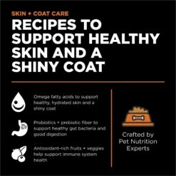 Go! Solutions Skin + Coat Care Grain-Free Salmon Recipe Dry Cat Food 12 Go! Solutions Skin + Coat Care Grain-Free Salmon Recipe Dry Cat Food -Blue Buffalo Shop 157019 PT1. AC SS1800 V1638843209