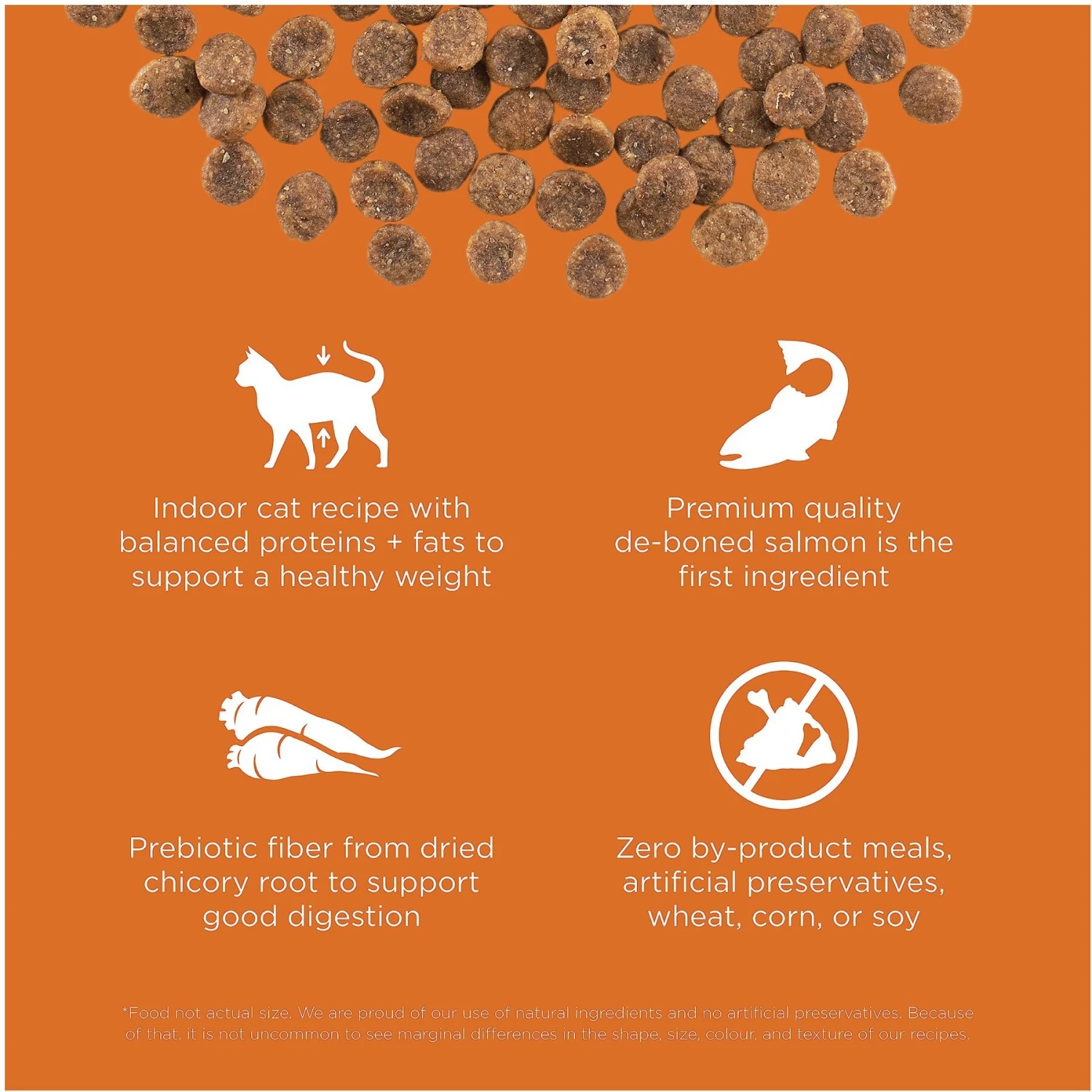 Go! Solutions Skin + Coat Care Grain-Free Salmon Recipe Dry Cat Food 5 Go! Solutions Skin + Coat Care Grain-Free Salmon Recipe Dry Cat Food - Image 3