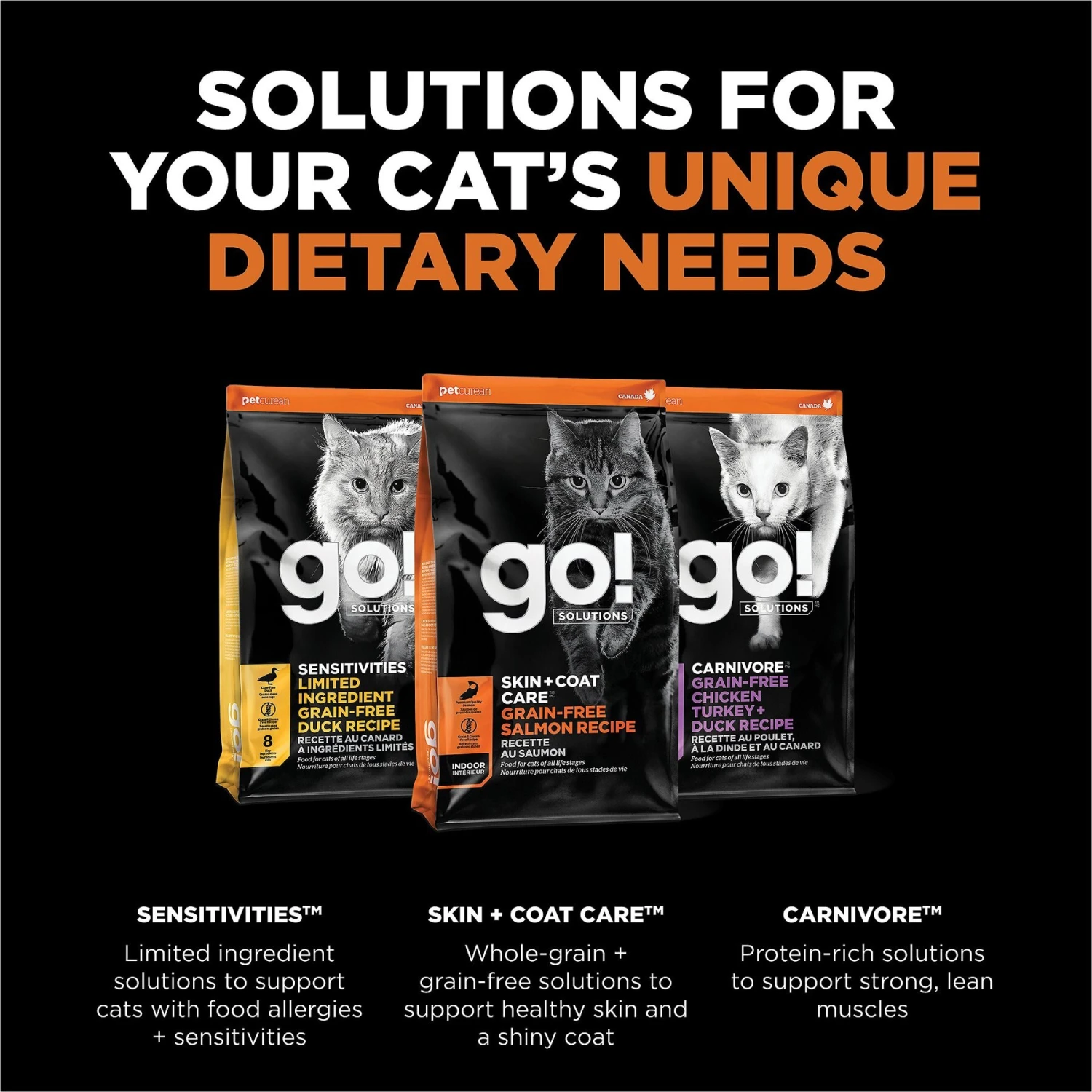 Go! Solutions Skin + Coat Care Grain-Free Salmon Recipe Dry Cat Food 7 Go! Solutions Skin + Coat Care Grain-Free Salmon Recipe Dry Cat Food - Image 5