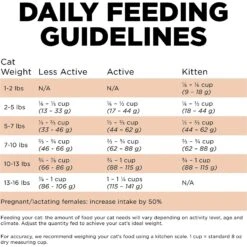 Go! Solutions Skin + Coat Care Grain-Free Salmon Recipe Dry Cat Food 17 Go! Solutions Skin + Coat Care Grain-Free Salmon Recipe Dry Cat Food -Blue Buffalo Shop 157019 PT6. AC SS1800 V1638832355