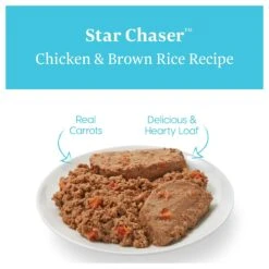 Solid Gold Star Chaser Chicken & Brown Rice Recipe Canned Dog Food -Blue Buffalo Shop 157114 PT2. AC SS1800 V1547218933