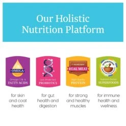 Solid Gold Star Chaser Chicken & Brown Rice Recipe Canned Dog Food -Blue Buffalo Shop 157114 PT4. AC SS1800 V1547218964