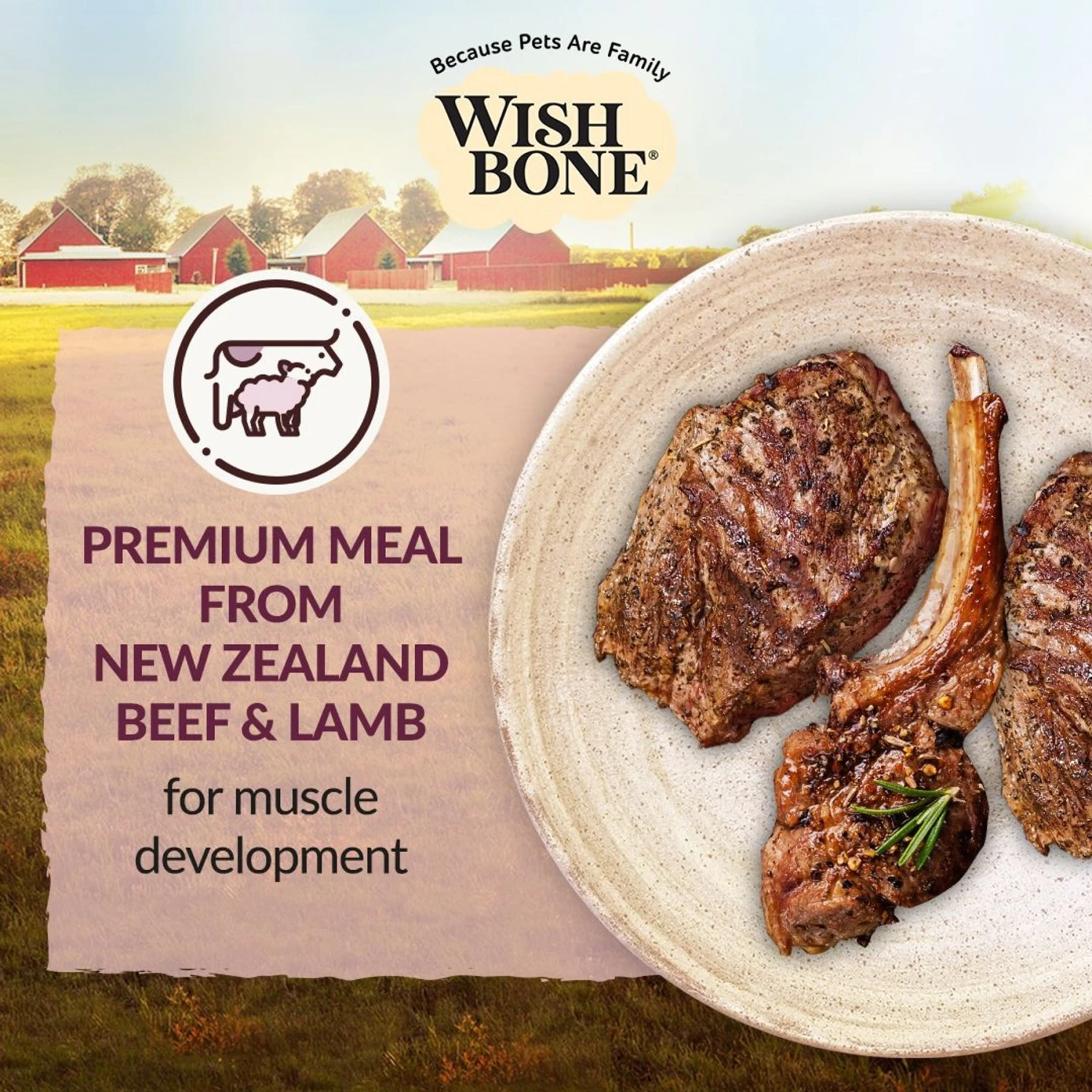 Wishbone Graze New Zealand Beef & Lamb Grain-Free Complete Cat Health Dry Cat Food 5 Wishbone Graze New Zealand Beef & Lamb Grain-Free Complete Cat Health Dry Cat Food - Image 3