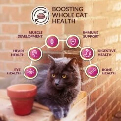 Wishbone Graze New Zealand Beef & Lamb Grain-Free Complete Cat Health Dry Cat Food 15 Wishbone Graze New Zealand Beef & Lamb Grain-Free Complete Cat Health Dry Cat Food -Blue Buffalo Shop 157491 PT4. AC SS1800 V1702503575