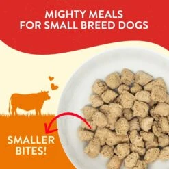 Stella & Chewy's Lil' Bites Itty Bitty Beef Recipe Small Breed Freeze-Dried Raw Dog Food -Blue Buffalo Shop 157723 PT1. AC SS1800 V1548193927