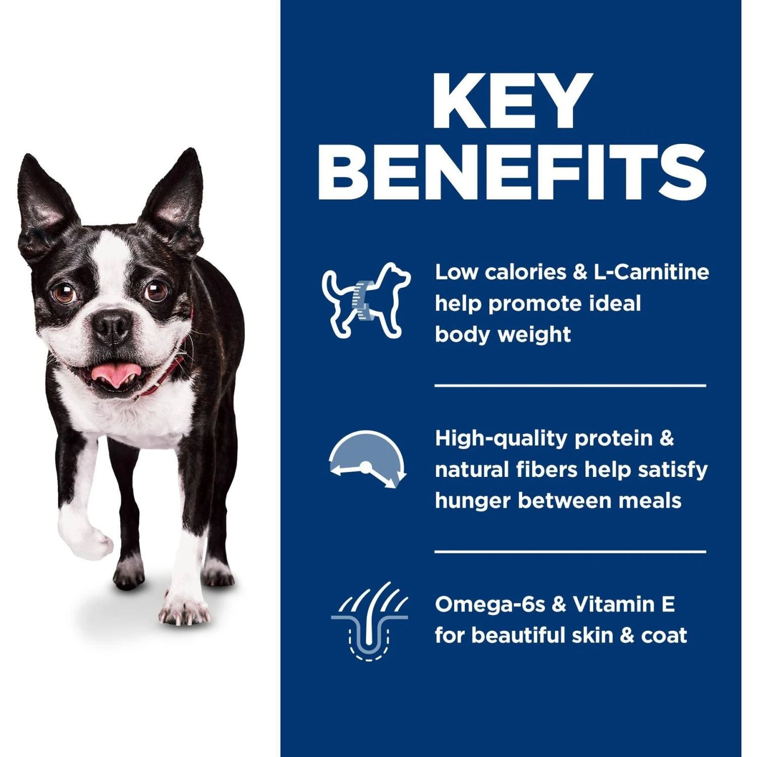 Hill's Science Diet Adult Light Small Bites With Chicken Meal & Barley Dry Dog Food 8 Hill's Science Diet Adult Light Small Bites With Chicken Meal & Barley Dry Dog Food - Image 6