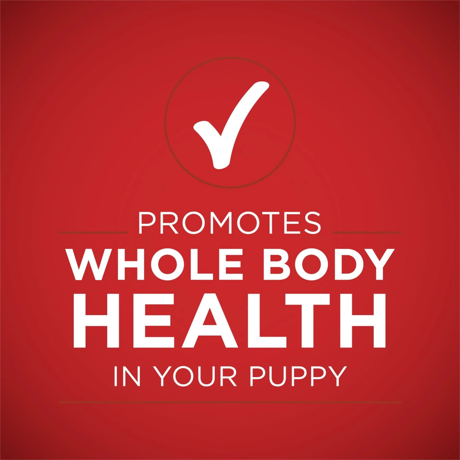 Purina ONE +Plus Classic Ground Healthy Puppy Lamb & Long Grain Rice Entree Canned Dog Food 8 Purina ONE +Plus Classic Ground Healthy Puppy Lamb & Long Grain Rice Entree Canned Dog Food - Image 6