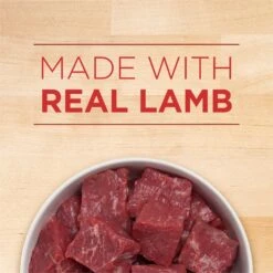 Purina ONE +Plus Classic Ground Healthy Puppy Lamb & Long Grain Rice Entree Canned Dog Food 17 Purina ONE +Plus Classic Ground Healthy Puppy Lamb & Long Grain Rice Entree Canned Dog Food -Blue Buffalo Shop 158418 PT8. AC SS1800 V1645827101