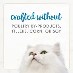 Fancy Feast Gourmet Naturals Seafood Variety Pack Canned Cat Food 18 Fancy Feast Gourmet Naturals Seafood Variety Pack Canned Cat Food -Blue Buffalo Shop 158490 PT7. AC SS1800 V1677102920