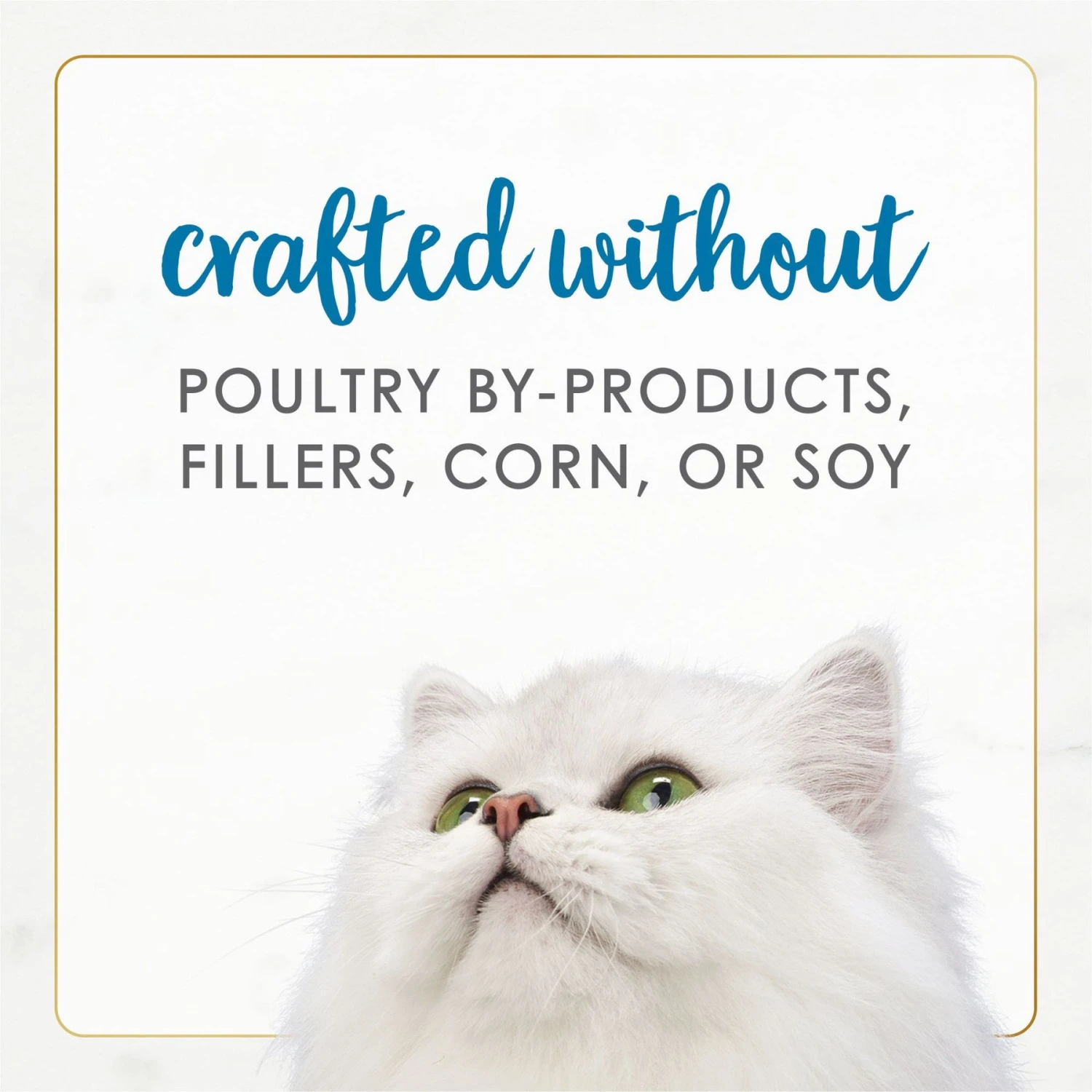 Fancy Feast Gourmet Naturals Seafood Variety Pack Canned Cat Food 10 Fancy Feast Gourmet Naturals Seafood Variety Pack Canned Cat Food - Image 8