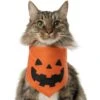 Frisco Jack O' Lantern Pumpkin Dog & Cat Bandana -Blue Buffalo Shop 158934 MAIN. AC SS1800 V1669148132